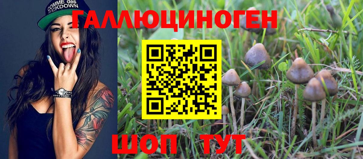 Кушва  Галлюциногенные грибы Psilocybine cubensis  Вход с VPN 