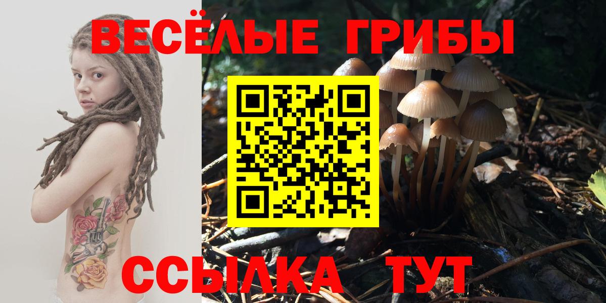 Псилоцибиновые грибы MAGIC MUSHROOMS Кушва